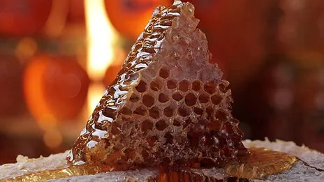 Muş Black Hive Raw Honeycomb Miele Scuro Biologico 1 Kg.