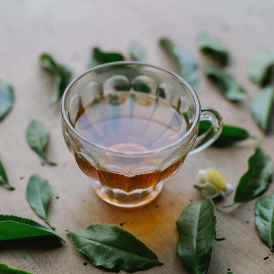 Grünteemischung mit Jasminblüte und Zimt, 25 Packungen