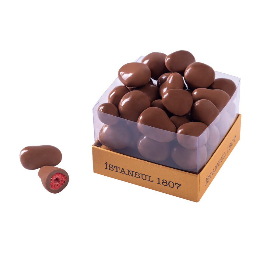 Gourmet Fraises Séchées Enrobées De Chocolat dragee En Paquet D'ISTANBUL 230 g.