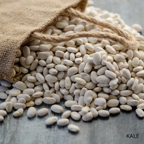 Kelkit Sugar Beans 1 Kg.